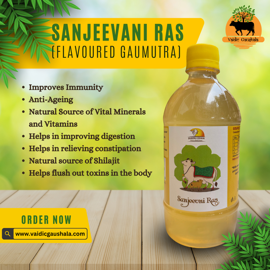 Sanjeevani Ras 500ml