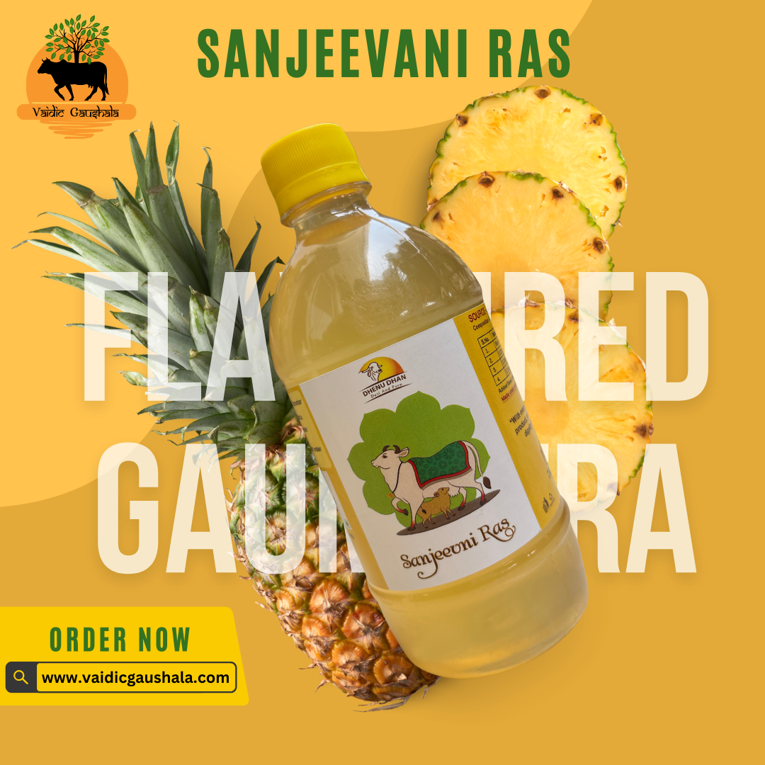 Sanjeevani Ras 500ml