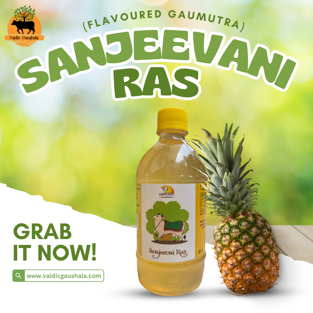 Sanjeevani Ras 500ml