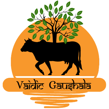 Vaidic Gaushala